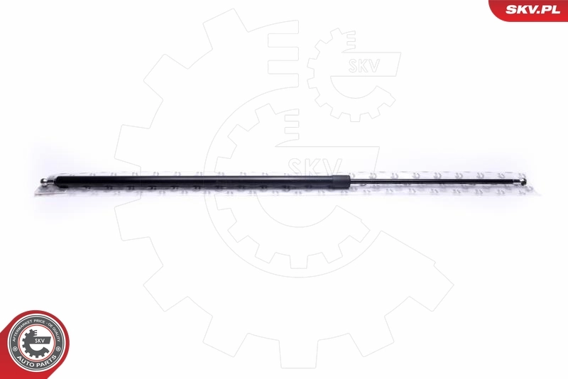 Gas Spring, boot/cargo area
